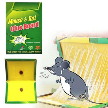 Super Stick Mouse & Rat Glue Traps